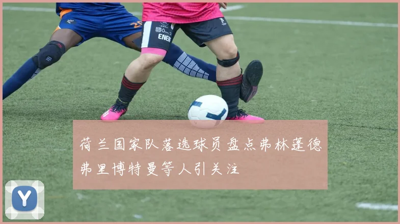 荷兰国家队落选球员盘点弗林蓬德弗里博特曼等人引关注